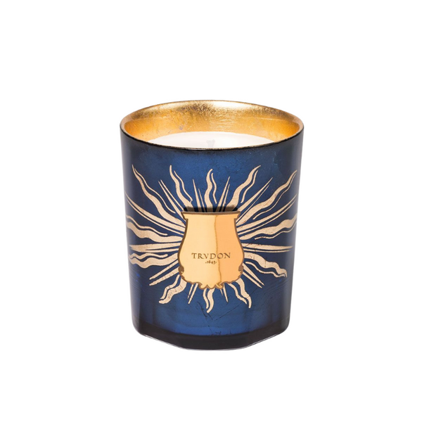 2023 Christmas Edition - Fir (Christmas Tree)