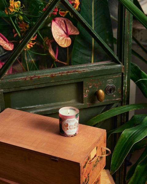 Carrière Frères X HTE MUSEUM Candle Geranium Pelargonium Odoratissimum