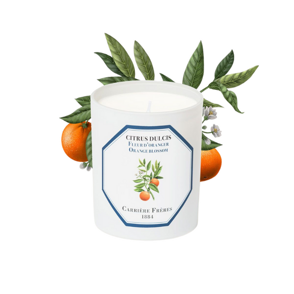 Carrière Frères Candle Orange Blossom Citrus Dulcis
