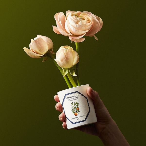 Carrière Frères Candle Orange Blossom Citrus Dulcis