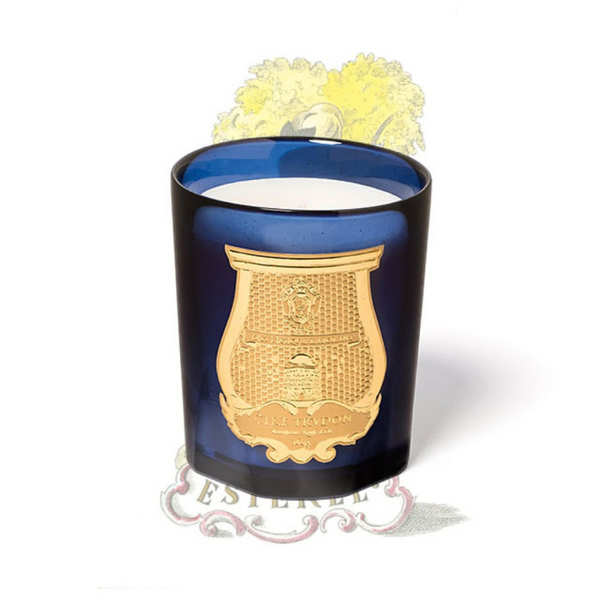 Les Belles Matieres Classic Candle - Esterel (Brightness of Mimosa)