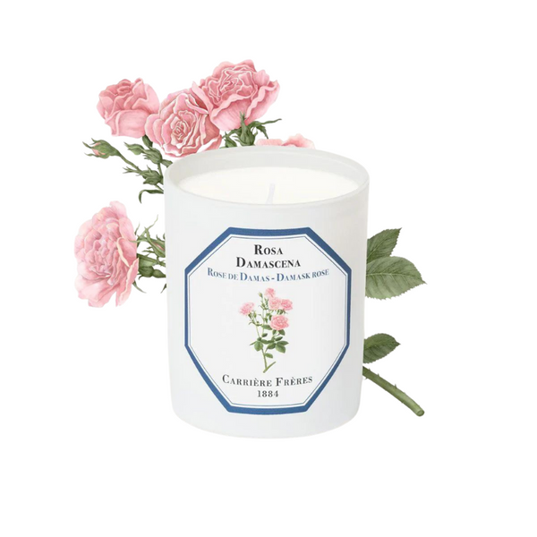 Carrière Frères Candle Damask rose Rosa Damascena