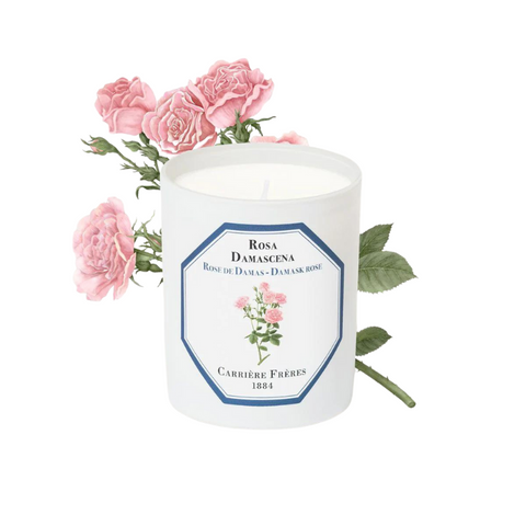 Carrière Frères Candle Damask rose Rosa Damascena