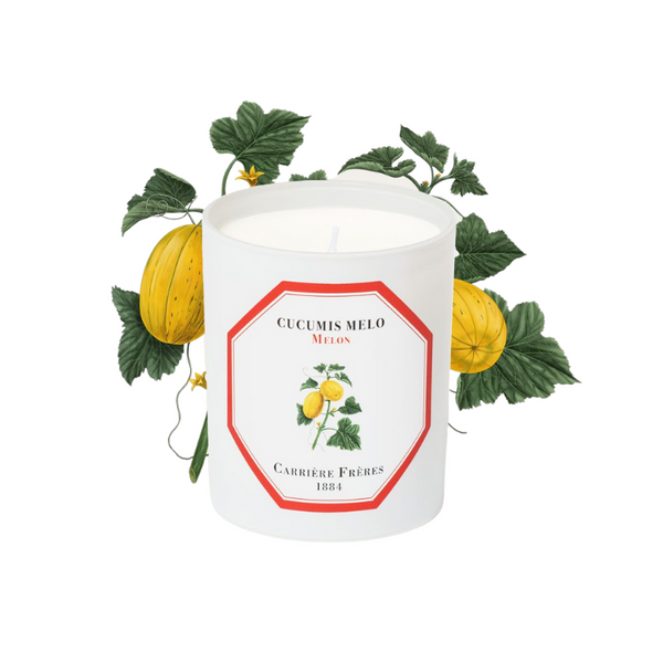 Carrière Frères Candle Melon Cucumis Melo
