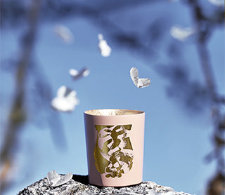 Maître Tseng × Trudon Sous Un Ciel De Pétales (Woody Floral)