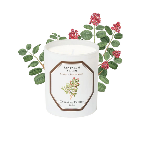 Carrière Frères Candle Sandalwood Santalum Album