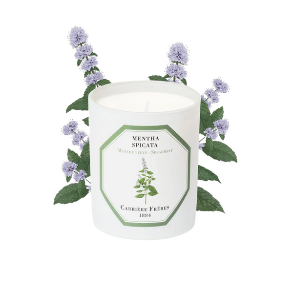 Carrière Frères Candle Spearmint Mentha Spicata
