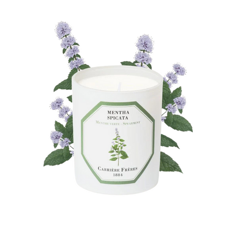 Carrière Frères Candle Spearmint Mentha Spicata