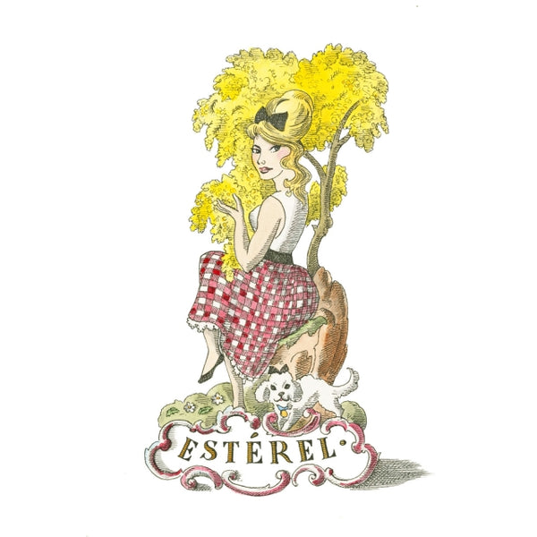 Les Belles Matieres Classic Candle - Esterel (Brightness of Mimosa)