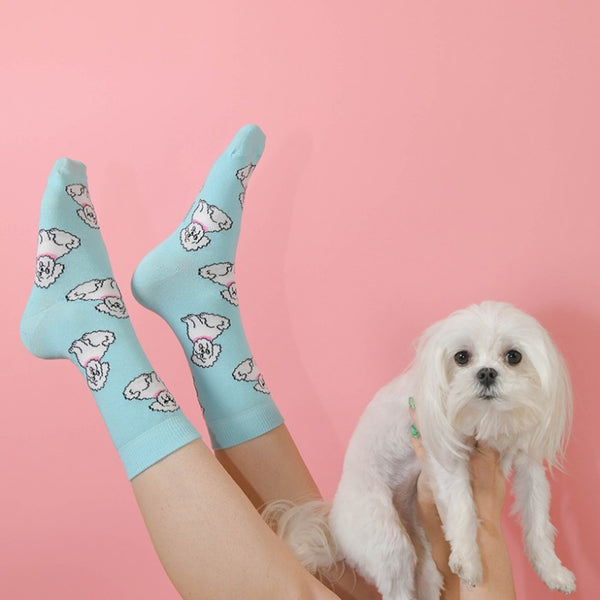 Coucou Suzette Dog Socks