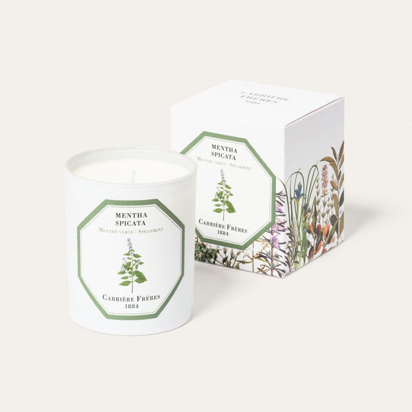 Carrière Frères Candle Spearmint Mentha Spicata
