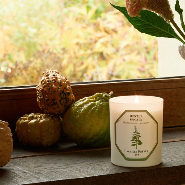 Carrière Frères Candle Spearmint Mentha Spicata
