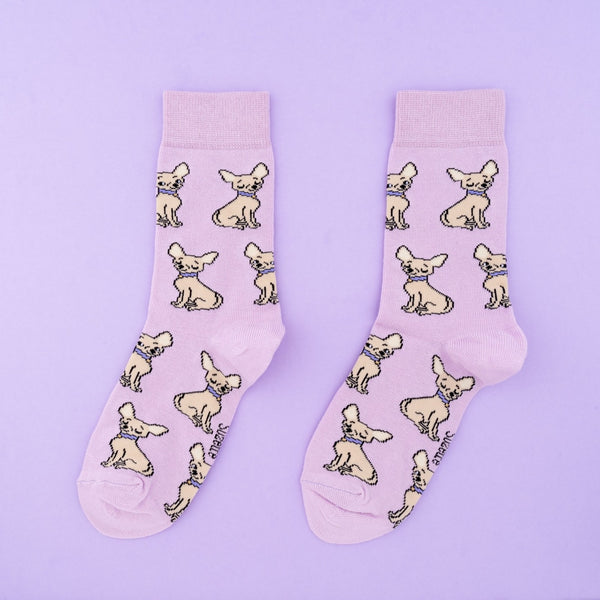 Coucou Suzette Dog Socks
