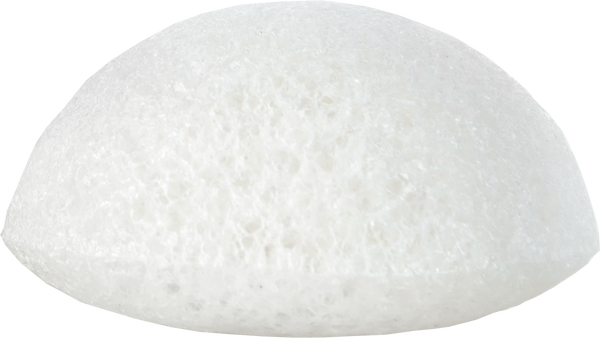 RAINFOREST TOUCAN MINI PURE SPONGE(Limited Edition)