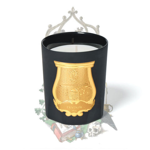 Les Belles Matieres Classic Candle - Mary (Cedar and Gaiac)